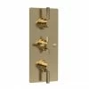 Hudson Reed Tec Pura Plus Triple Concealed Thermostatic Shower Valve - Brushed Brass - A8003