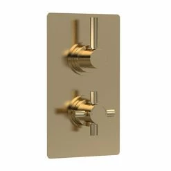 Hudson Reed Tec Pura Concealed Twin Shower Valve With Built-in Diverter - Brushed Brass - A8007