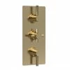 Hudson Reed Tec Pura Plus Concealed Thermostatic Triple Shower Valve With Diverter - Brushed Brass - A8023 1 Hudson Reed Tec Pura Plus Concealed Thermostatic Triple Shower Valve With Diverter - Brushed Brass - A8023 -Hudson Reed Shop A8023 m