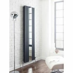Hudson Reed Revive Single Panel Designer Radiator With Mirror - Anthracite - HLA78 -Hudson Reed Shop HLA78 D2 460